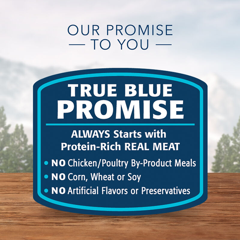 Blue Buffalo, Canned Dog Food, Wilderness, Duck & Chicken Grill - 354 g - Wet Dog Food image number null