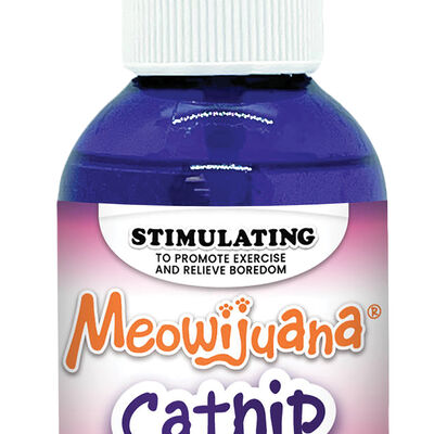 Meowijuana, Silvervine Catnip Spray - 3 oz