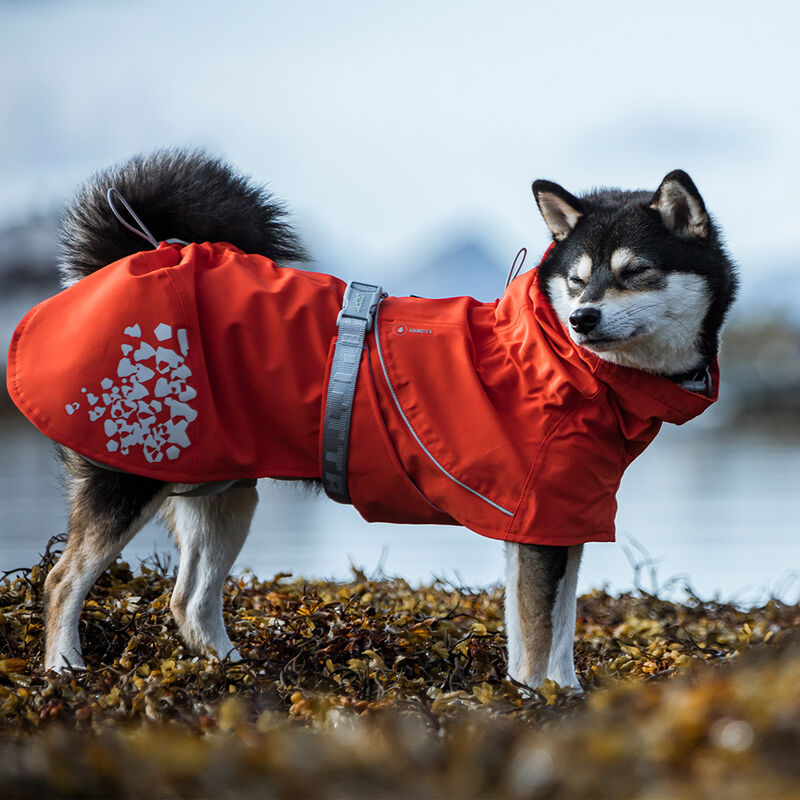 Hurtta, Monsoon Coat ECO - Rosehip image number null