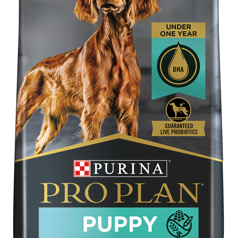 Pro Plan, Puppy Development Sensitive Skin & Stomach - Dry Dog Food image number null