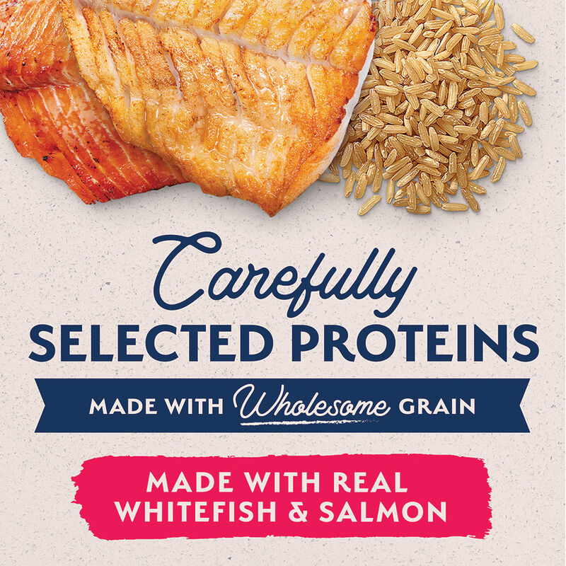 Natural Balance, Can, Adult - LID - Whitefish, Rice, & Salmon - 368 g - Wet Dog Food image number null