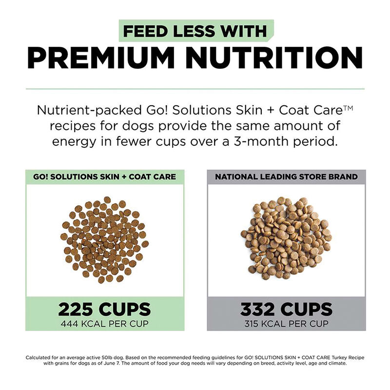 GO! SOLUTIONS, SKIN + COAT CARE Turkey Recipe With Grains for dogs - Dry Dog Food image number null