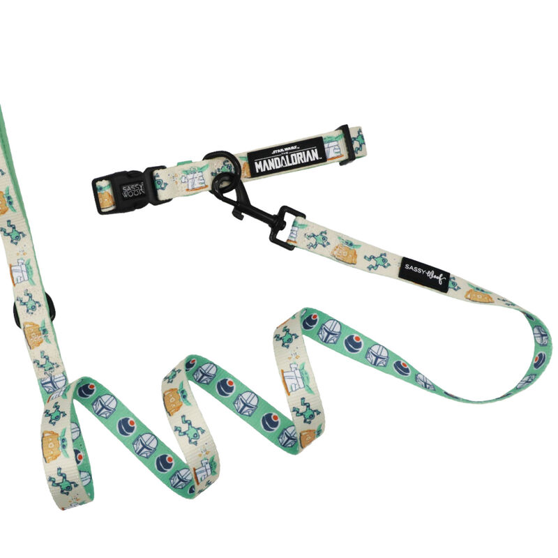 Sassy Woof, Star Wars Collar and Leash Set for Dogs - Small image number null