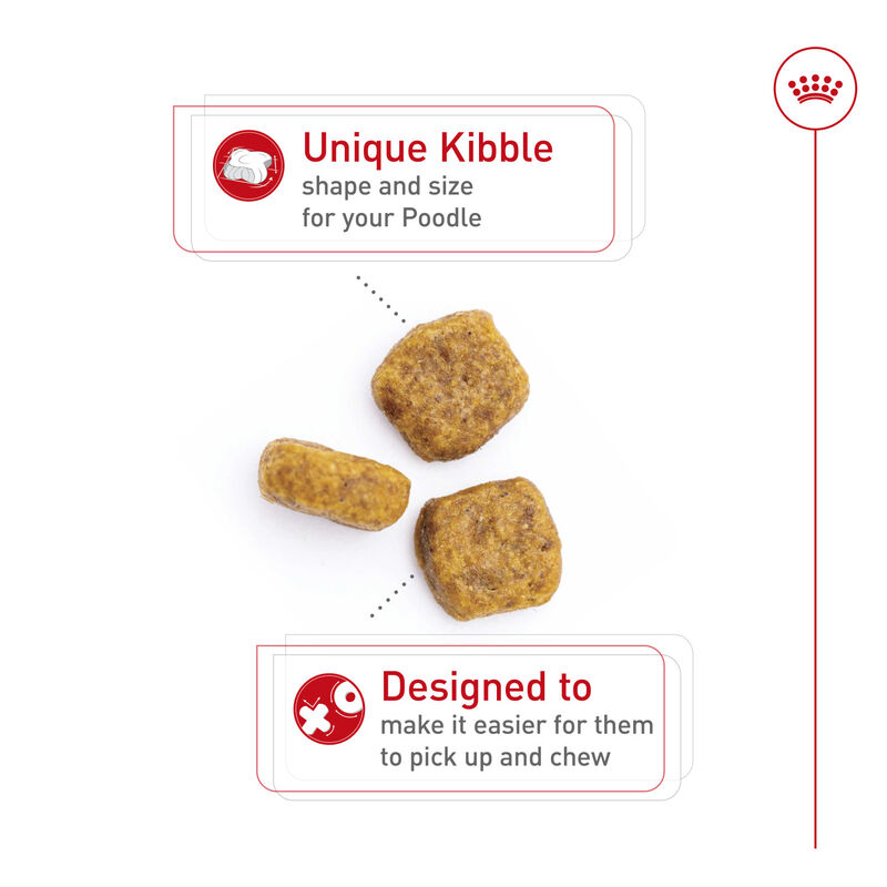 Royal Canin, Breed Health Nutrition Poodle Adult - Dry Dog Food image number null