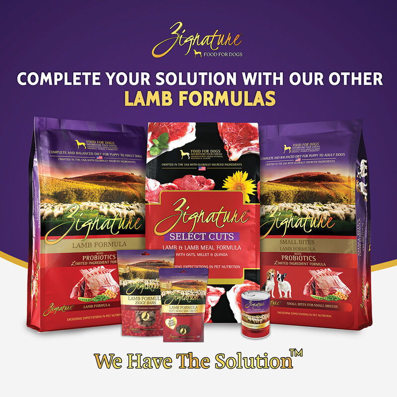 Zignature, Soft Moist Treats - Limited Ingredient - Grain Free - Lamb - 113 g image number null