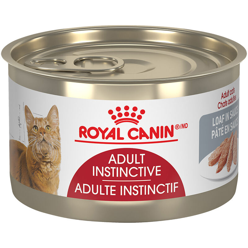 Royal Canin, Can, Feline Adult - Instinctive Loaf In Sauce - 145 g - Wet Cat Food image number null