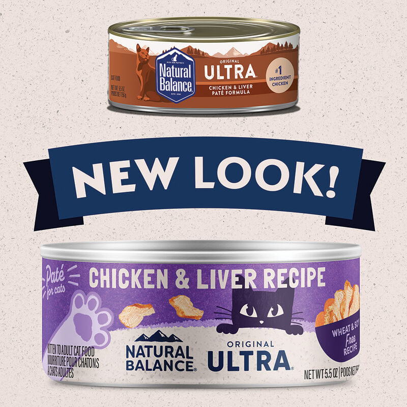 Natural Balance, Cat Can Chicken & Liver Pate  - 5.5 oz - Wet Cat Food image number null