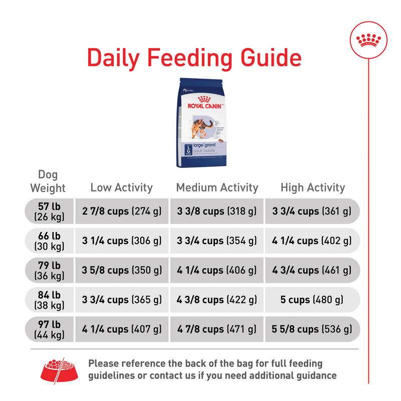 Royal Canin, Size Health Nutrition Large Adult Dog 30LBS - Dry Dog Food image number null