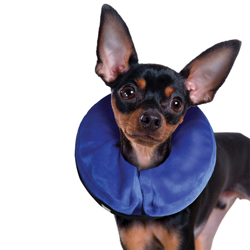 KONG, Cloud Collar - Dog First Aid image number null