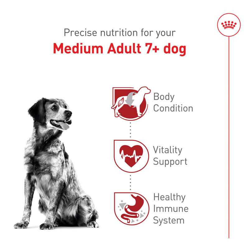 Royal Canin, Size Health Nutrition Medium Adult 7+ - Dry Dog Food image number null