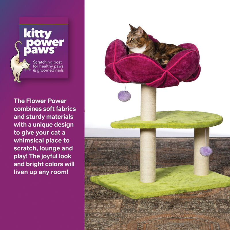 Prevue, Flower Power Cat Post image number null
