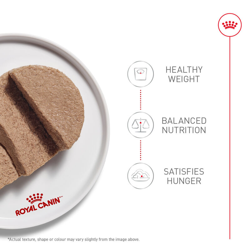 Royal Canin, Feline Care Nutrition Weight Care Thin Slices in Gravy - Wet Cat Food image number null