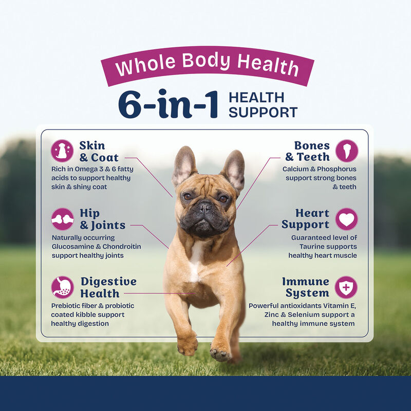 Natural Balance, Health Protection Small Breed - Real Chicken, Brown Rice & Pumpkin Recipe - Dry Dog image number null