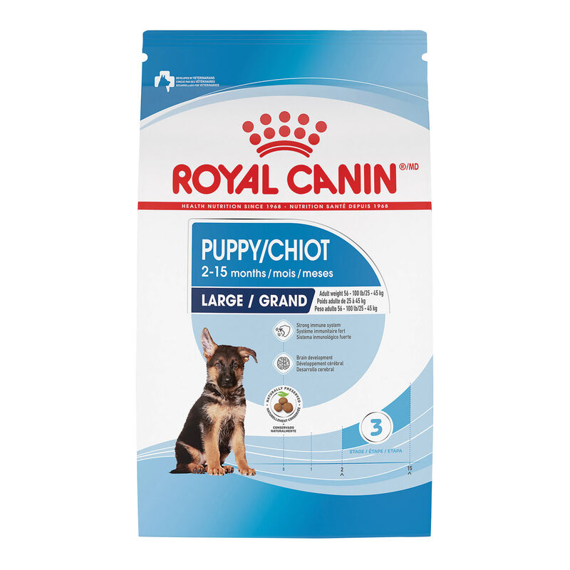 Royal Canin, Puppy, Large Size Health Nutrition - Dry Dog Food image number null