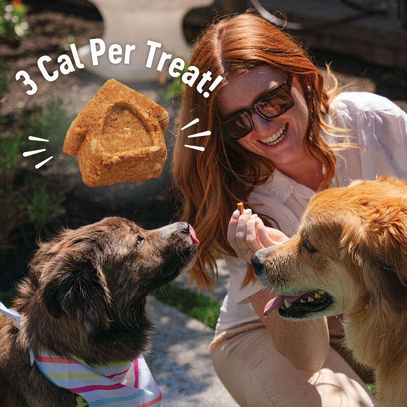 Wellness, Just for Puppy, Chkn&Carrots Crunchy Treats - 6 oz - Dog Treat image number null