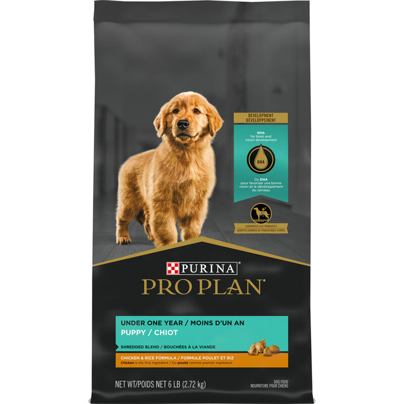Purina Pro Plan Development Under One Year Puppy, Shredded Blend, Chicken & Rice Dry Dog Food Formul image number null