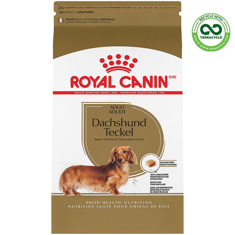 Royal Canin, Breed Health Nutrition Dachshund Adult - Dry Dog Food image number null