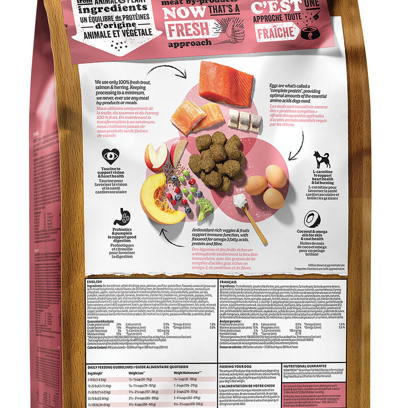 NOW FRESH, Adult GF Fish - 9.98 kg - Dry Dog Food image number null