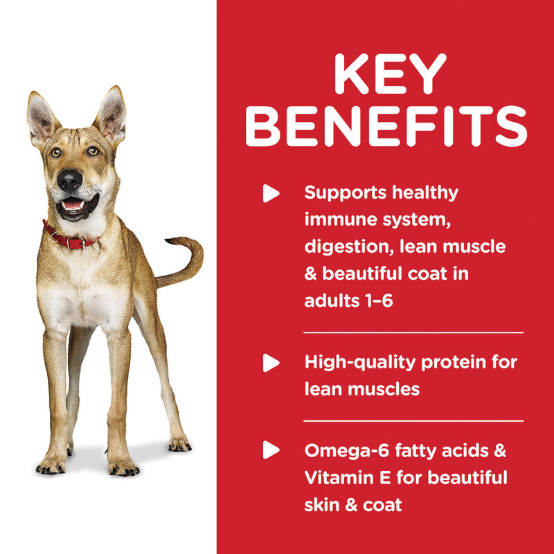 Science Diet, Adult Chicken & Barley Canned Dog Food, 370 g - Wet Dog Food image number null
