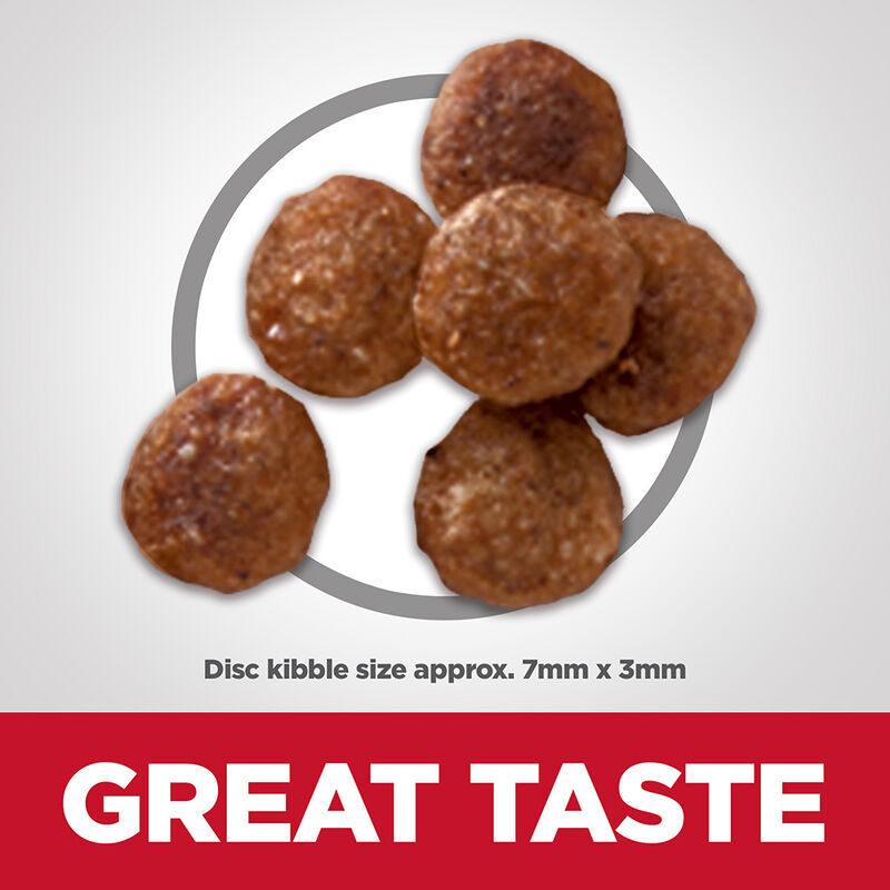 Science Diet, Adult Sensitive Stomach & Skin Small Bites Chicken Recipe Dry Dog Food - Dry Dog Food image number null