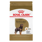 Royal Canin, Breed Health Nutrition Rottweiler Adult - Dry Dog Food image number null
