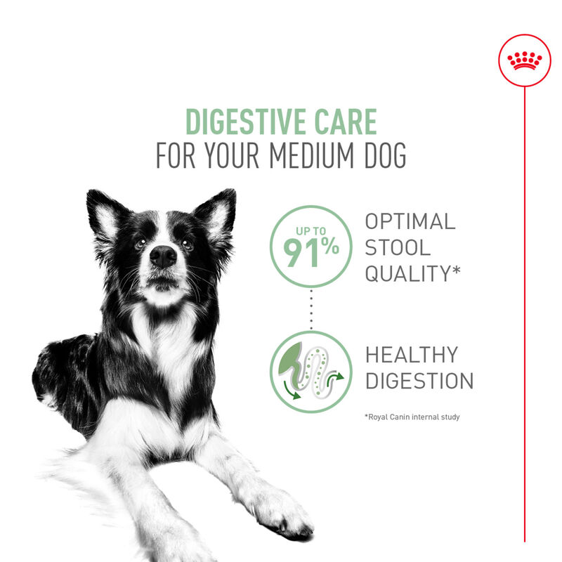 Royal Canin, Size Health Nutrition Medium Digestive Care - Dry Dog Food image number null