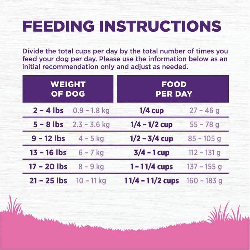 Wellness, Dog Toy Breed Adult - Dry Dog Food image number null