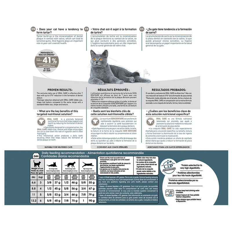 Royal Canin, Feline Care Nutrition - Dental Care - Dry Cat Food image number null