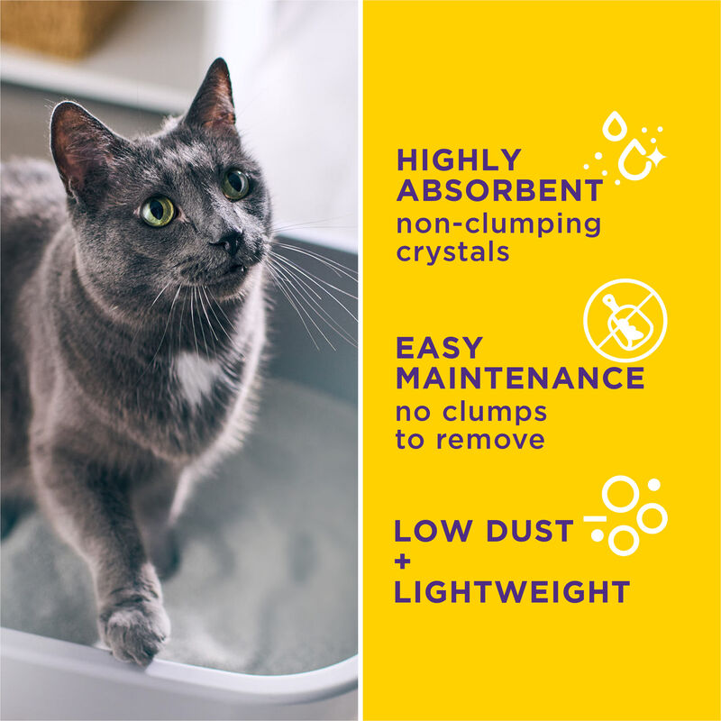 Tidy Cats Tidy Care Alert Non-Clumping Cat Litter - 3.63 kg image number null