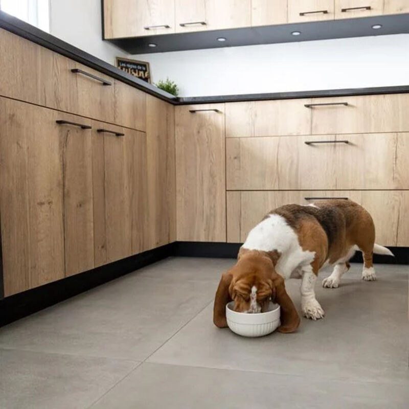 Gourmet Bowl - Large image number null