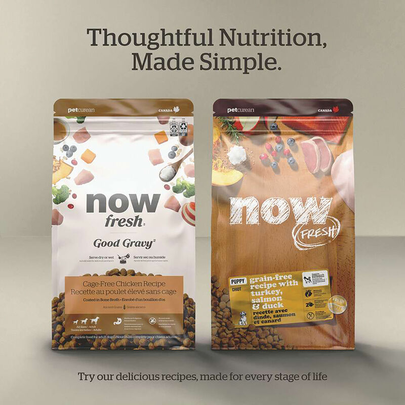 NOW FRESH, Senior GF - Dry Dog Food image number null