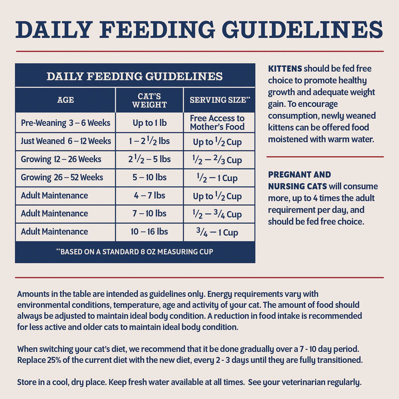 Natural Balance, Ultra Protein - Chicken & Chicken Meal Recipe - Dry Kitten Food image number null