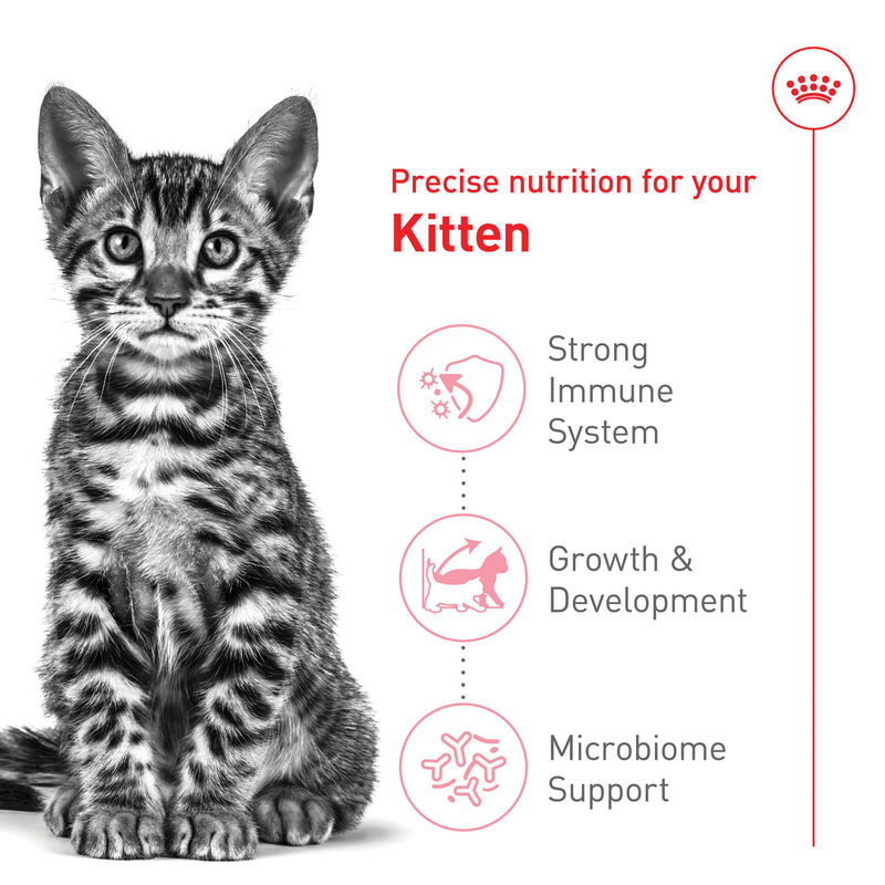 Royal Canin, Feline Health Nutrition Kitten Spayed / Neutered - Dry Cat Food image number null