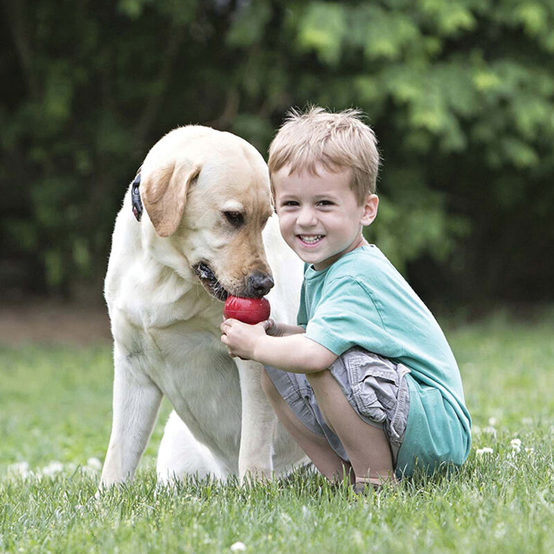 KONG, Classic - Red - Chew Dog Toy image number null