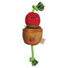Territory, Tomato Treat & Tug Toy image number null