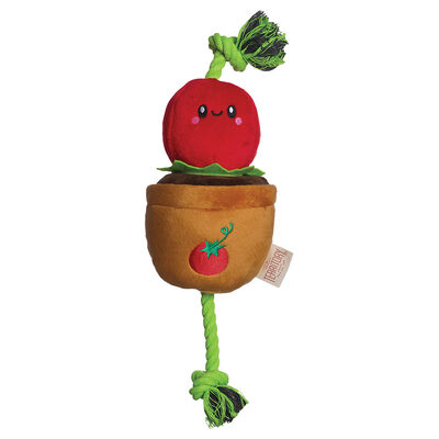Territory, Tomato Treat & Tug Toy