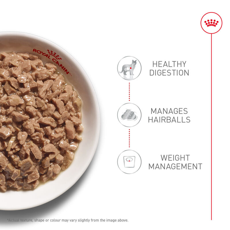 Can, Feline Adult Hairball - Thin Slices - 85 g image number null