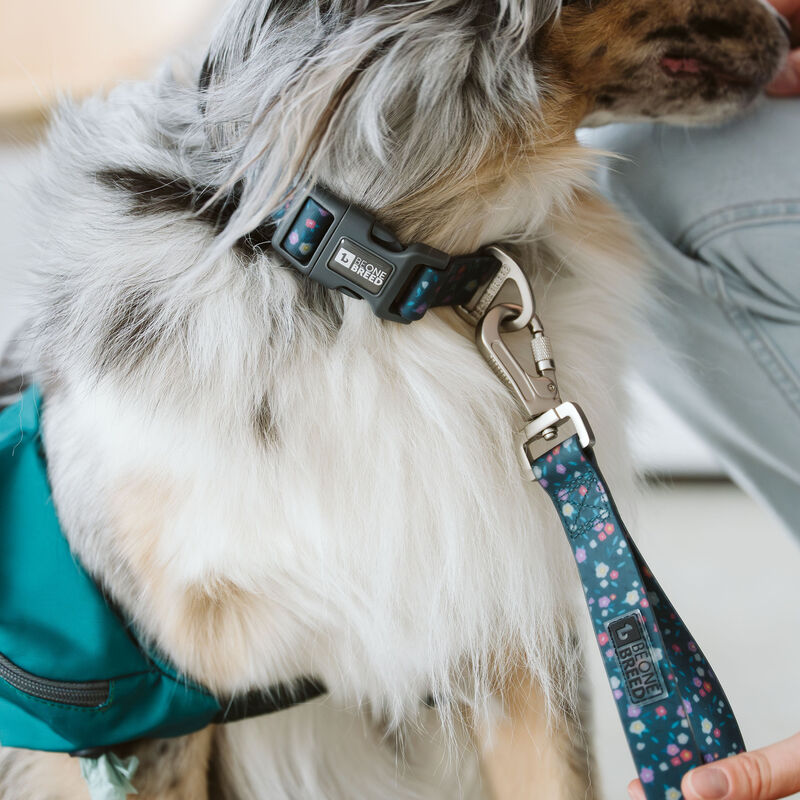 BeOneBreed Silicone Dog Collar - Summer Floral image number null