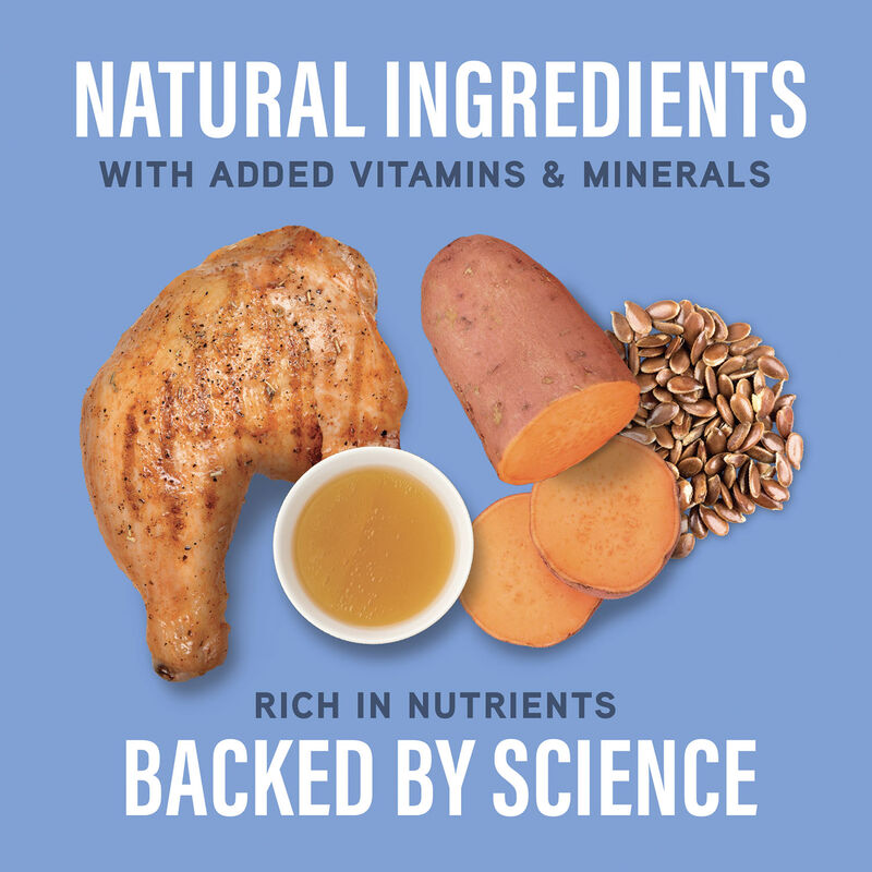 Natural Balance, Specialized Nutrition - Joint & Muscle Health Chicken & Oatmeal Formula - Dry Dog F image number null
