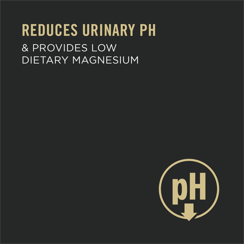 Pro Plan, Urinary Tract Health Chicken Entr&eacute;e - 85 g - Wet Cat Food image number null