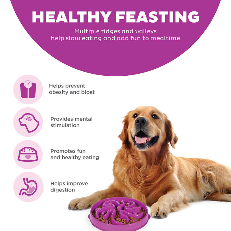 Outward Hound, Fun Feeder Flower - Purple image number null