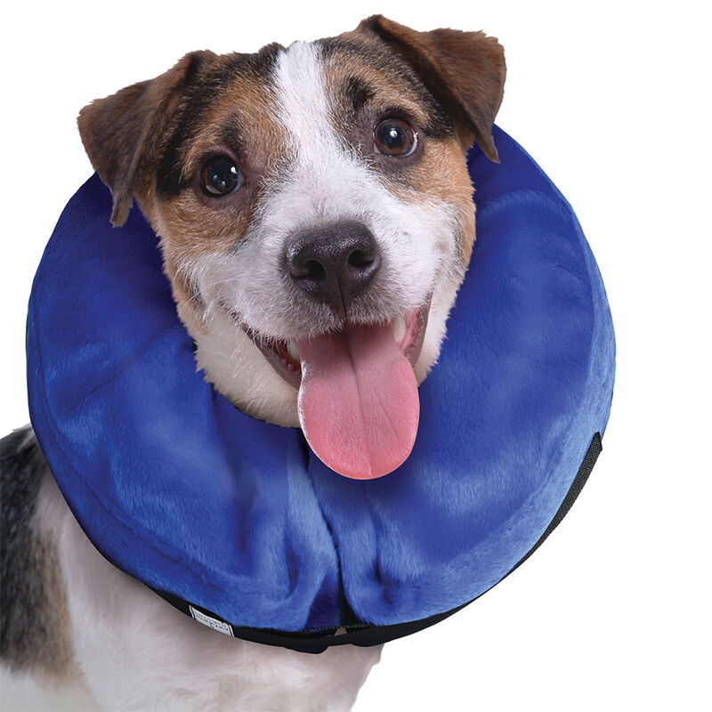 KONG, Cloud Collar - Dog First Aid image number null