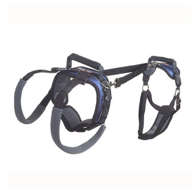 PetSafe, CareLift Harness, Full Body