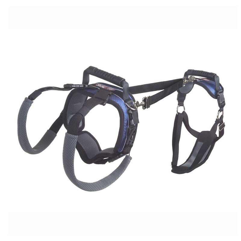 PetSafe, CareLift Harness, Full Body image number null