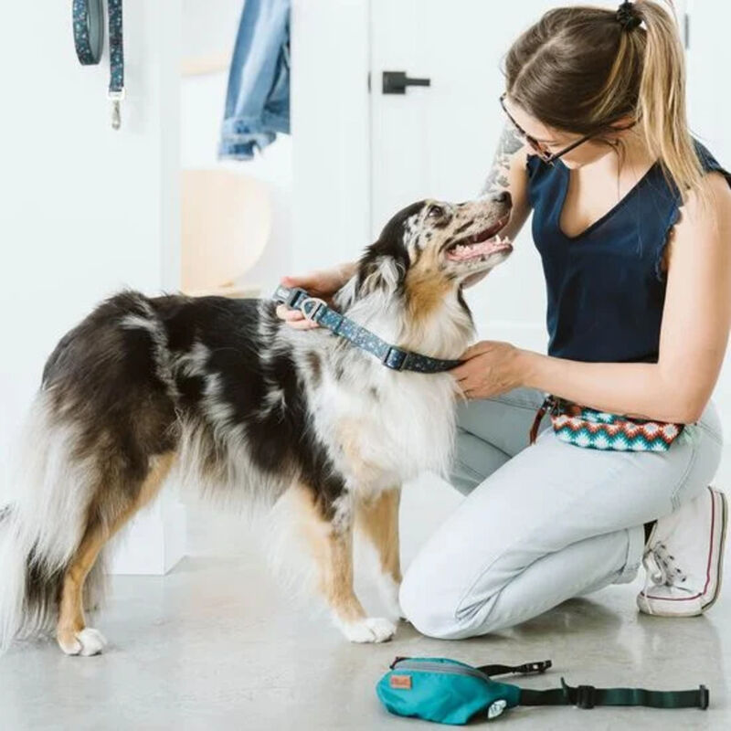 Dog Silicone Collar - Floral - M image number null