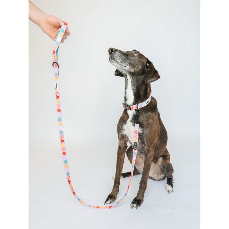 Sassy Woof, Minnie Mickey Collar and Leash Set for Dogs - Small image number null