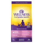 Wellness, Complete Health Kitten Chicken & Rice - 2.27 kg - Dry Cat Food image number null