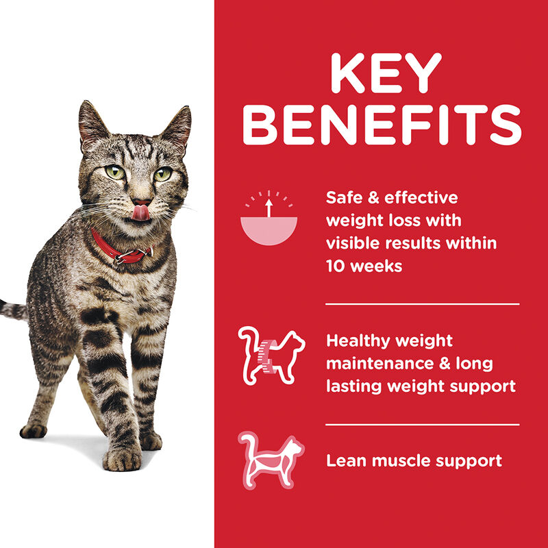 Science Diet, Adult Perfect Weight Chicken Recipe Dry Cat Food for healthy weight and weight managem image number null