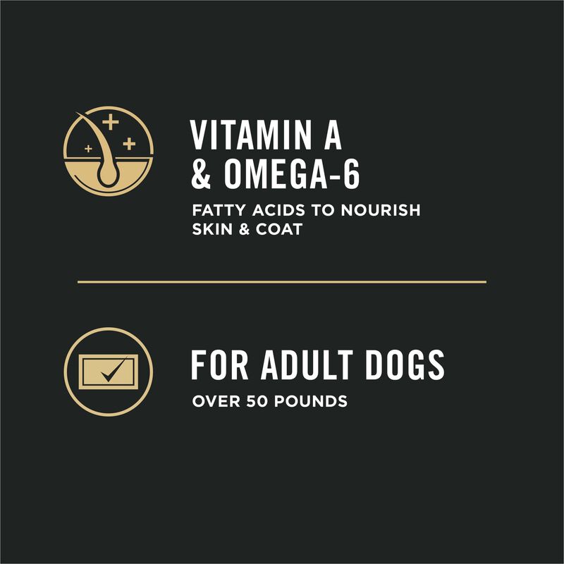 Purina Pro Plan Specialized Large Breed Adult, Chicken & Rice Dry Dog Food 15.4kg image number null