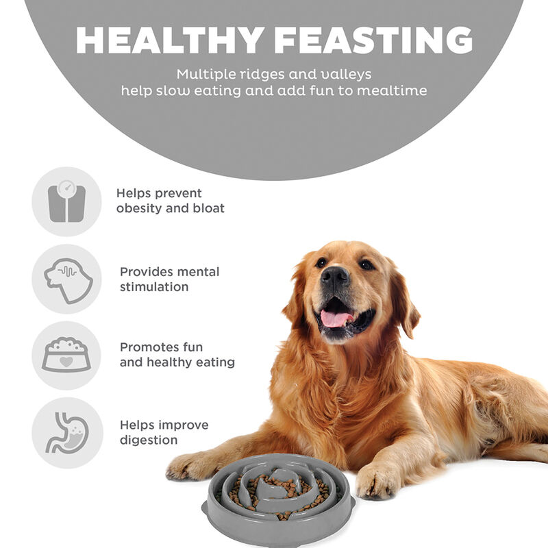 Outward Hound, Fun Feeder Drop - Grey image number null